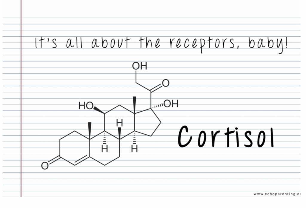 Screenshot 2025-05-22 at 3.59.56 PM